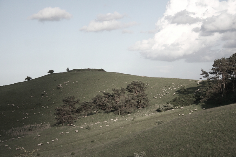 Killikus&reg; Fotographie